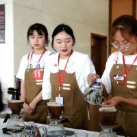 手机报·晚报丨教育部新增咖啡专业，培养未来咖啡人才；鹤壁、洛阳、郑州、信阳确定2026年中小学寒假时间