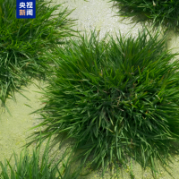 手机报·早报丨守护你的“钱袋子” 防商家跑路新招来了；四川宜宾一摩托车撞行人致1死5伤