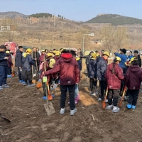 手机报·晚报丨“春日经济”下，“共享菜园”为啥火了；电商平台“速效救心丸”搜索同比增30倍