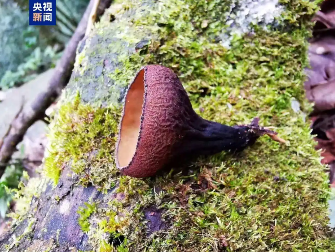 1758250031766.png wechat_2025-09-19_104654_115.png
